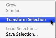 Transform Selection Photoshop Services Ground