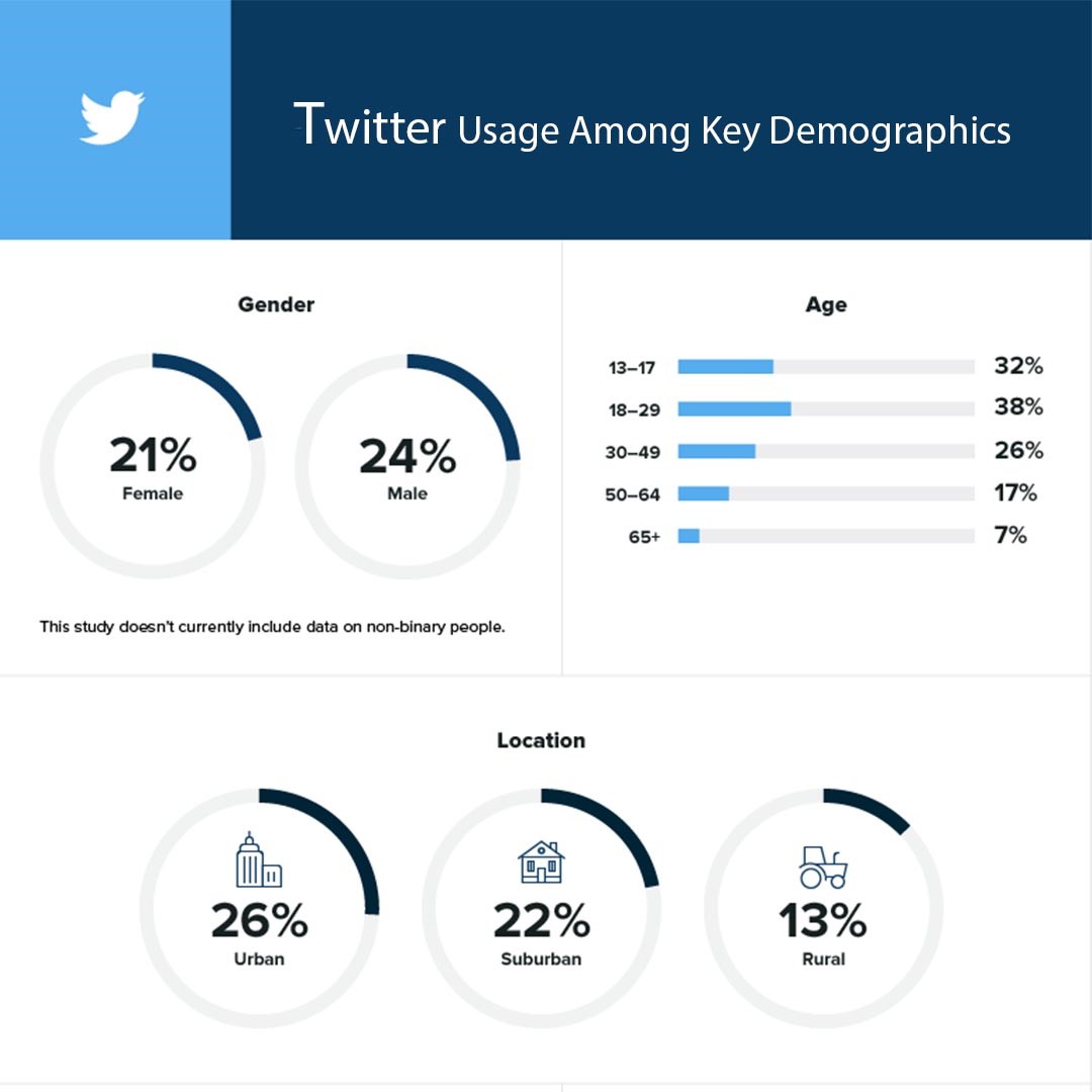 A Complete Overview Of Social Media Demographics Services Ground